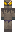 skin of a player