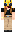 skin of a player