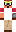 skin of a player