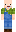 skin of a player