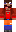 skin of a player
