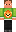 skin of a player