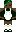 skin of a player