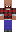 skin of a player
