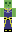 skin of a player