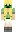 skin of a player