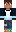skin of a player