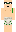 skin of a player