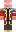 skin of a player