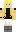skin of a player