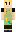 skin of a player