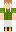 skin of a player