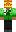 skin of a player