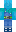 skin of a player