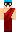 skin of a player