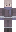 skin of a player