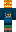 skin of a player