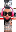 skin of a player