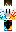 skin of a player
