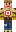 skin of a player