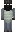 skin of a player