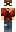 skin of a player