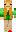 skin of a player