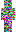 skin of a player