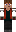 skin of a player