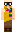 skin of a player