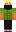 skin of a player