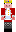 skin of a player