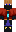 skin of a player