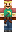 skin of a player
