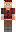 skin of a player