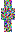 skin of a player
