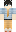 skin of a player