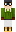 skin of a player