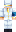 skin of a player