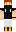 skin of a player