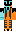 skin of a player