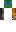 skin of a player