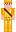 skin of a player