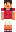 skin of a player