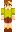 skin of a player