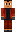 skin of a player