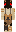 skin of a player