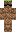 skin of a player