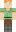 skin of a player