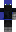 skin of a player